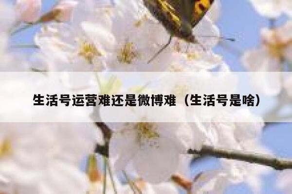 生活号运营难还是微博难（生活号是啥）