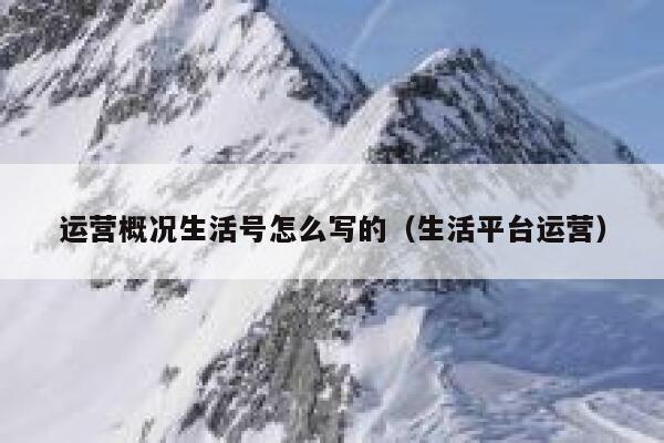 运营概况生活号怎么写的（生活平台运营）