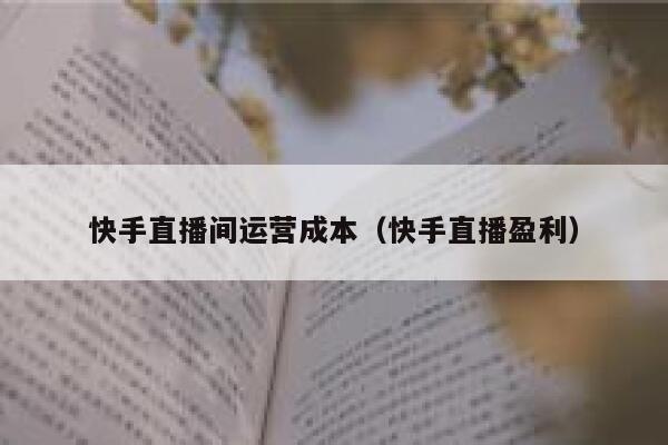 快手直播间运营成本（快手直播盈利）