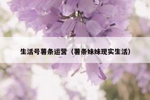 生活号薯条运营（薯条妹妹现实生活）