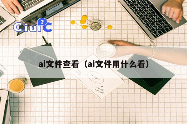 ai文件查看(ai文件用什么看)