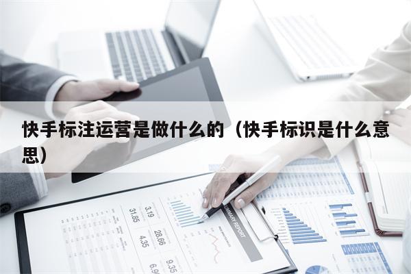 快手标注运营是做什么的(快手标识是什么意思)