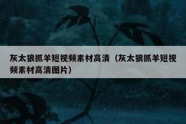 灰太狼抓羊短视频素材高清（灰太狼抓羊短视频素材高清图片）