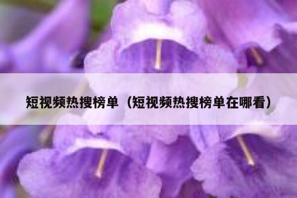 短视频热搜榜单（短视频热搜榜单在哪看）