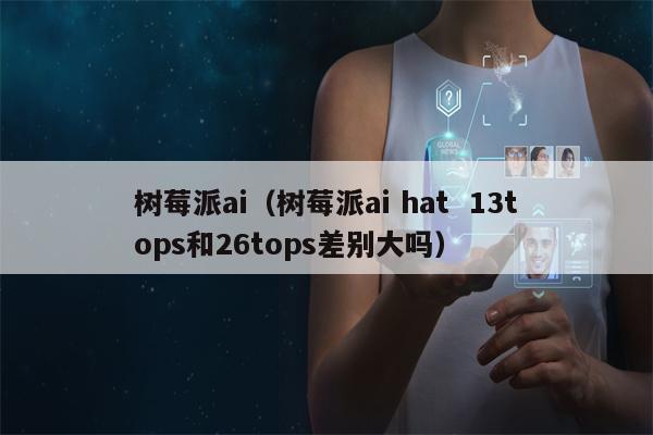 树莓派ai（树莓派ai hat  13tops和26tops差别大吗）