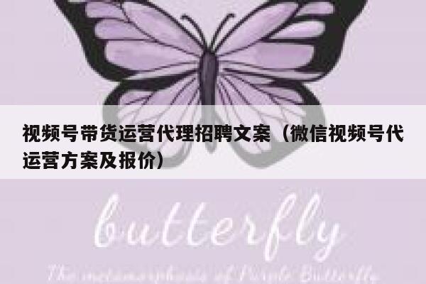 视频号带货运营代理招聘文案(微信视频号代运营方案及报价)