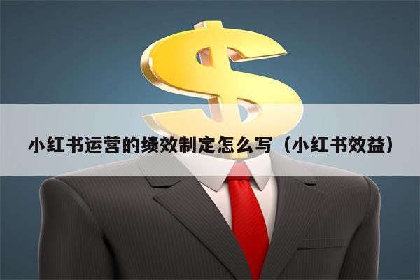 小红书运营的绩效制定怎么写(小红书效益)