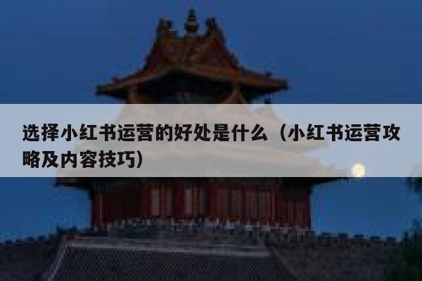 选择小红书运营的好处是什么（小红书运营攻略及内容技巧）