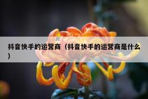 抖音快手的运营商（抖音快手的运营商是什么）