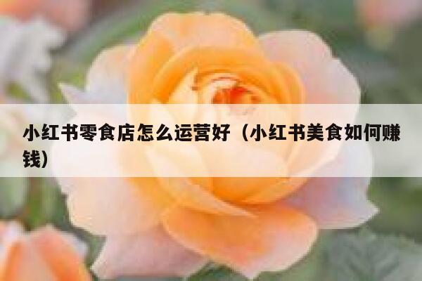 小红书零食店怎么运营好（小红书美食如何赚钱）