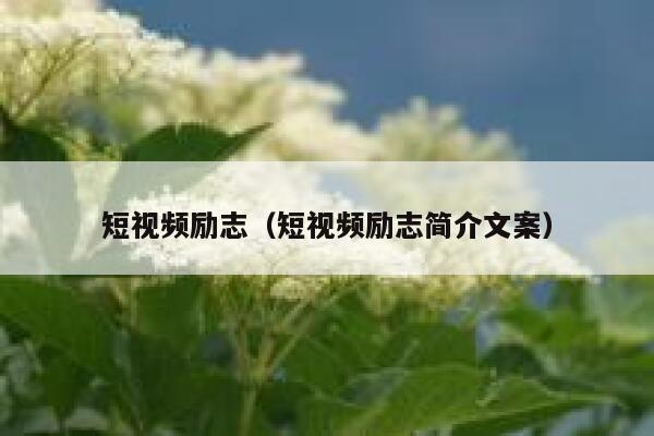 短视频励志（短视频励志简介文案）