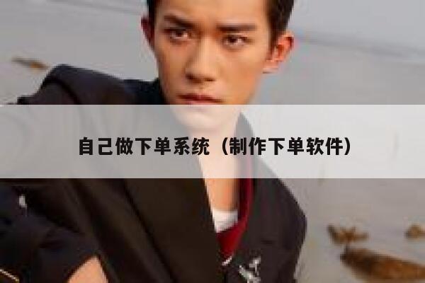 自己做下单系统（制作下单软件）
