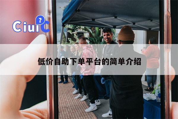 低价自助下单平台的简单介绍