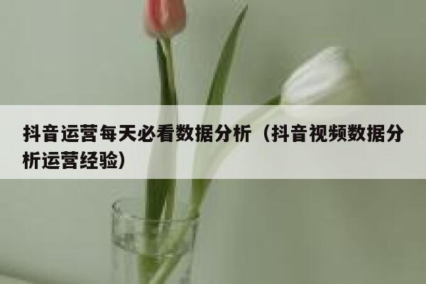 抖音运营每天必看数据分析（抖音视频数据分析运营经验）