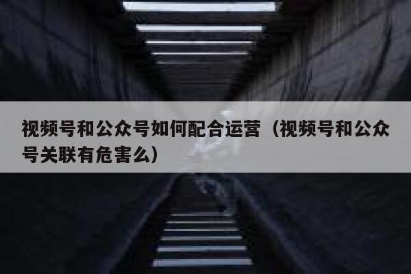 视频号和公众号如何配合运营（视频号和公众号关联有危害么）